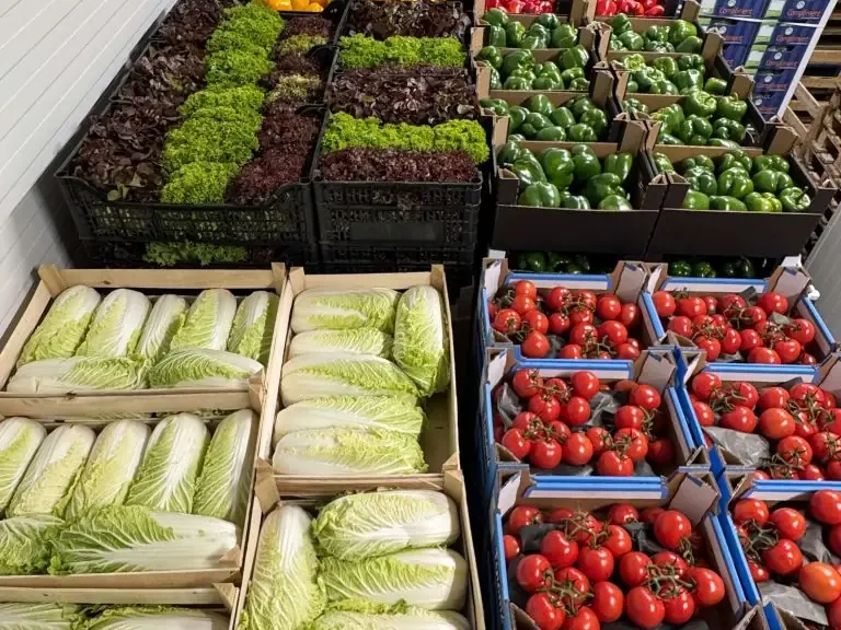 Gemüse in Kisten im Lager